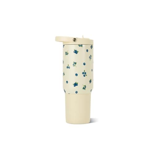 HydroJug Sport 20 oz Insulated Stainless Steel Water Bottle, Freshly Pick'd
