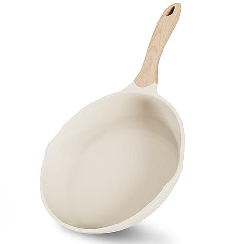 JEETEE 9.5 Inch Nonstick Frying Pan Skillet with Dual Spouts Omelet Egg Pan