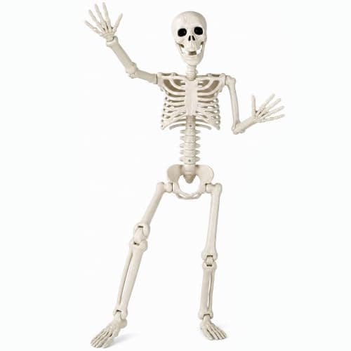 Toolterritary 36" Halloween Skeleton, 3 ft Human Skeleton Full Body Posable Joints Plastic Skeleton for Halloween Decoration, Yard Patio Lawn Garden Skeleton Spooky Party Decoration Indoor Outdoor
