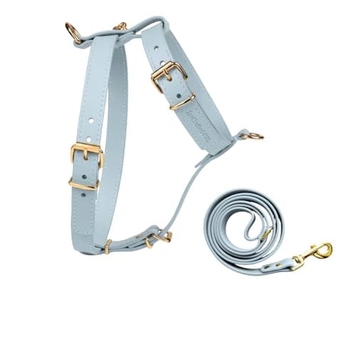 Luxury No Pull Dog Harness & Leash Set, PU Leather with Front & Back Clip
