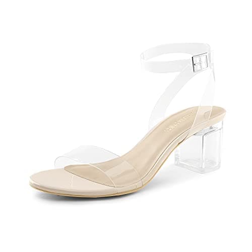 DREAM PAIRS Women's Open Toe Ankle Strap Low Block Chunky Heels Sandals Party Dress Pumps Shoes,Size 5.5,Nude/Clear,CARNIVAL