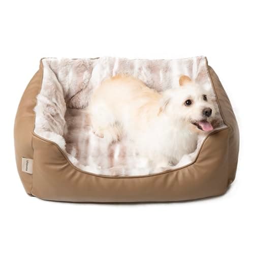 chipotia Dog Bed Medium Size Dog,Removable Washable Dog Bed,Durable Puppy Bed with Memory Foam Support