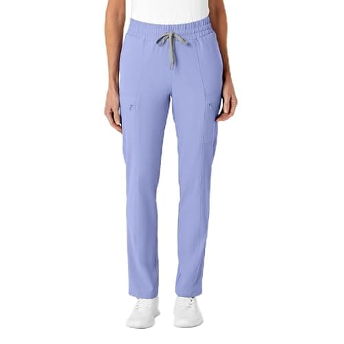 WINK RENEW Women's High Waist Slim Leg Scrub Pant, Ceil Blue, 2X