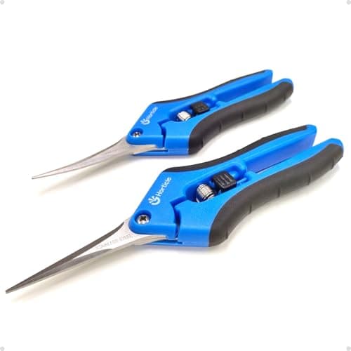 Horticle 2-Pack 6.5" Garden Scissors Pruning Shears for Detailed Gardening