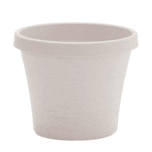 Bloem Terra 6" Diameter Round Vanilla Bean Resin Planter Pot with Drainage Holes for Indoor and Outdoor Gardening