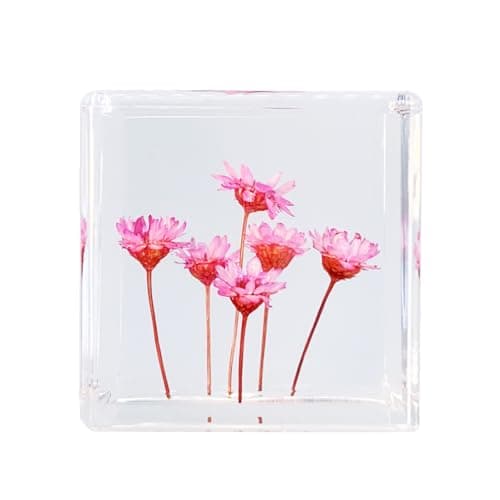 Bon Cube Real Flower Desk Accessory Mini Resin Cube – Flower in Resin with Decorative 3D Preserved Pink Starflowers, Desk Decor for Women, Small 1.58'' (2.9 oz), Lightweight Paperweight Option