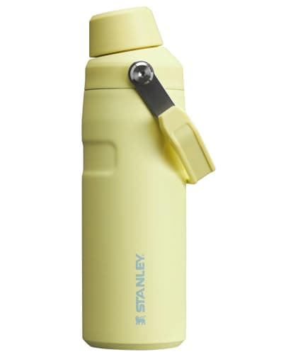 Stanley IceFlow Fast Flow Water Bottle 16 oz | Angled Spout Lid | Lightweight and Leakproof for Travel and Sports | Insulated Stainless Steel | BPA-Free | Pomelo