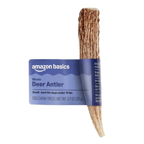 Amazon Basics Dog Deer Antler Chew, Naturally Shed. Whole, Small, Long Lasting for Aggressive Chewers, Best for Dogs Under 15 lbs, 4-5.5 inches (Previously Wag)