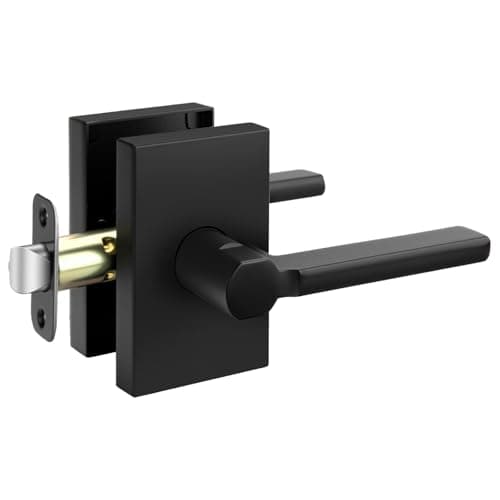 Goldenwarm Black Closet Door Handles, Passage Door Handles Interior, 1 Pack