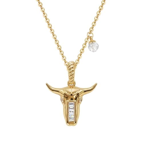 Bemoly Women's Necklace Dainty Detachable Cow's Head Pendant 14K Gold Plated Chain and Cubic Zirconia, Fashion Jewelry Birthday Anniversary for Daily Wear & Party