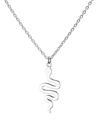 Yooborn T-Swift Snake Necklace Chain Jewelry Gift for Daughter Sister Bestfriend Red Speak Now Taylor Inspired Necklace for Fans Music Lover.