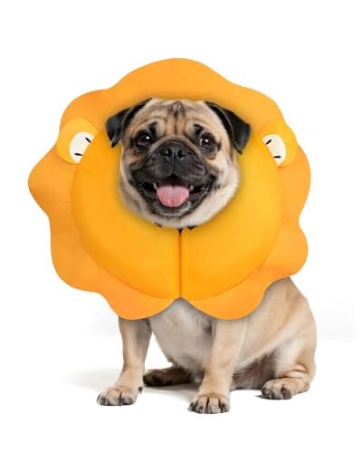 MIDOG Inflatable Dog Cone, Lion Mane Recovery Collar, Medium