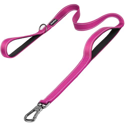 PetiFine 5FT Heavy Duty Dog Leash with Soft Padded Double Handle