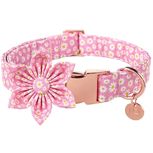 UP URARA PUP Summer Dog Collar with Flower, Cotton Cute Flower Dog Collar, Pink Flower Collar for Puppy Boy Girl Dog or Cat, Comfortable Blue Dog Collar with Metal Buckle, XS