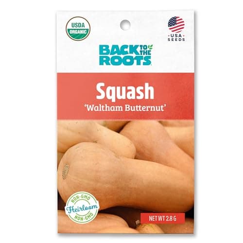Back to The Roots 100% Organic Seed Packet - Squash 'Winter Waltham Butternut' 2.8g