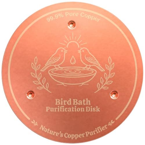 Azomabox Copper Disc for Bird Bath, 99.9% Pure Copper (Two Birds)
