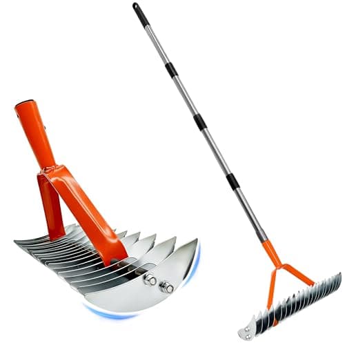 Thatch Rake for Lawn,15" Dethatcher Rake,Heavy-Duty Metal Thatching Rake,68" Adjustable Manual Dethatcher with 19 Tines,Dead Grass Remover Tool for Yards and Gardens