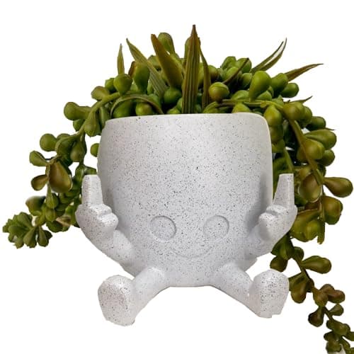 Funny Succulent Pots Unique Plant Pot with Finger Up, Cute Planters for Indoor Plants, Resin Smiley Face Flowerpot Novelty Adorable Gift Idea(Plants not Included) (Gray)
