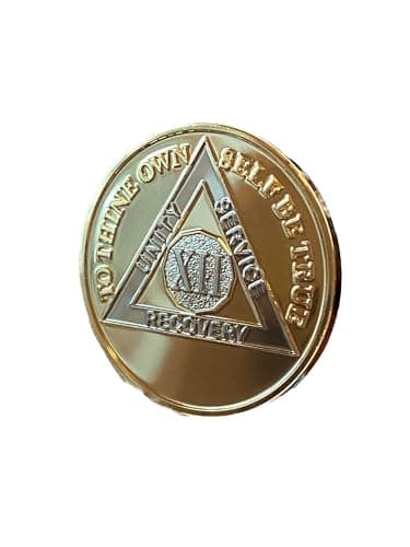 RecoveryChip 12 Year AA Medallion - 22K Gold Plated Brass Sobriety Chip, Serenity Prayer Back, Premium 12 Year Recovery Coin Token Gift (34mm)