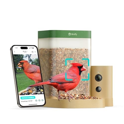 Birdfy Smart Bird Feeder with Camera for Rookie, Camera Bird Feeder Dual Night Vision, AI Recognition IP66 Waterproof for BirdLovers (Lifetime Free AI)