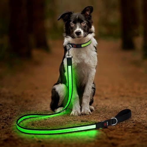 Candofly 4 Ft LED Dog Leash, USB Rechargeable Light Up Dog Leash, 3 Lighting Modes, Glow in The Dark, Nylon Reflective Pet Leashes with Lights for Night Walking (Green)