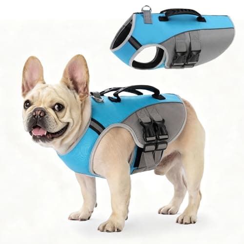 BEAUTYZOO Dog Life Jacket, Dog Life Vest for Swimming, Easy-Wear Back Zip,M