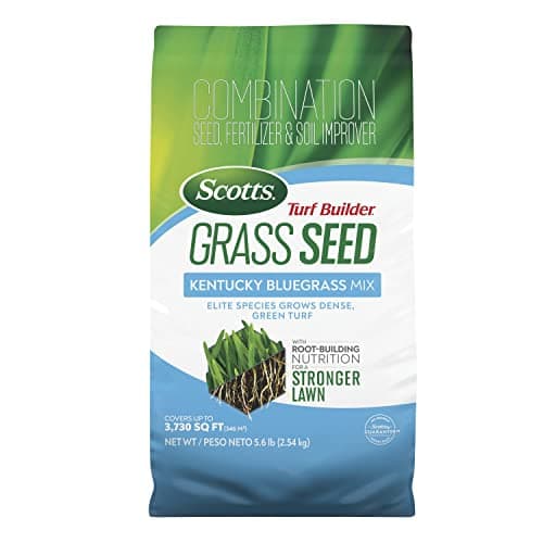 Scotts Turf Builder Grass Seed Kentucky Bluegrass Mix, 5.6 lbs.