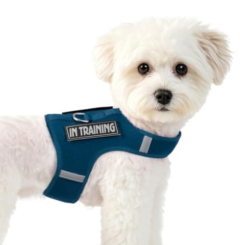 Sunraymascota Cat Harness Dog Puppy Vest with 2 Patches for Small Sized Pet
