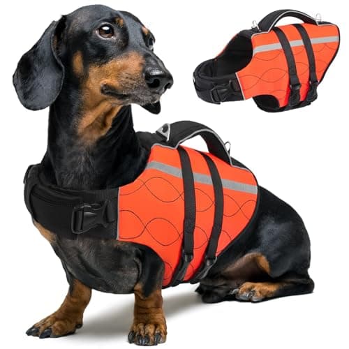 Queenmore Dog Life Jacket Large,High Flotation Dog Life Vest for Swimming Boating,Adjustable Ripstop Pet Lifesaver for Large Dogs,Reflective Safety Dogs Swimming Vest with Rescue Handle(Orange,L)