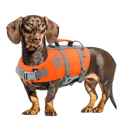Queenmore Large Dog Life Jacket, Dog Life Vest for Swimming, Floating Life Vest for Dogs Large Breed with Handle, Vibrant Doggie Life Jacket for Boating with Hook, Pet Water Preserver for Big Dogs