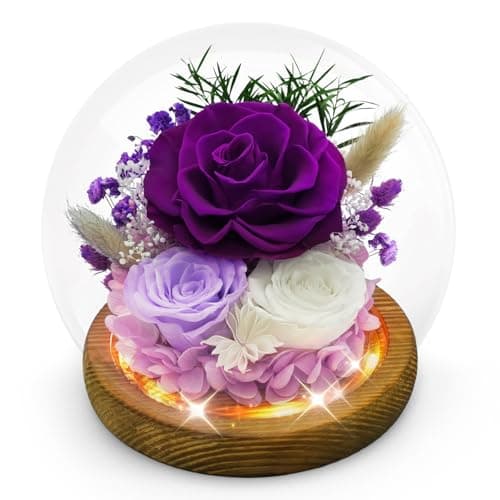 DAKEYUN Birthday Gifts for Mom Forever Flowers for Delivery Prime Preserved Rose in Glass Dome Long-Lasting Eternal Rose Gifts for Her Women Grandma Wife on Christmas Anniversary Purple Flowers