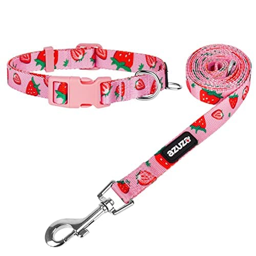 azuza Dog Collar and Leash Set, Collar Nylon and Matching Leash for Small Dogs, Strawberry