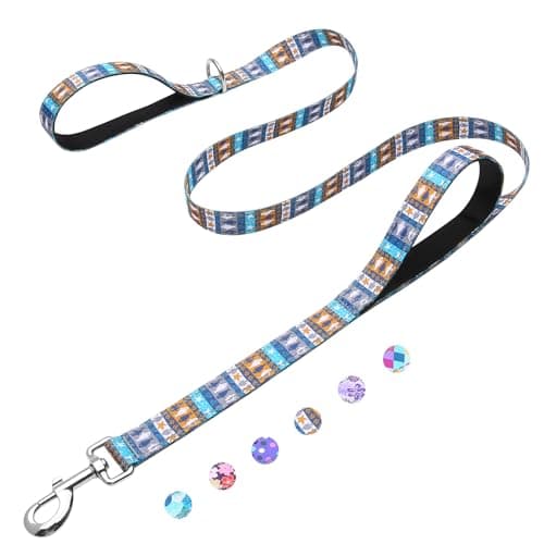 Fidohug Reflective Double Handle Dog Leash for Medium Large Dogs, 4 Ft x 1"