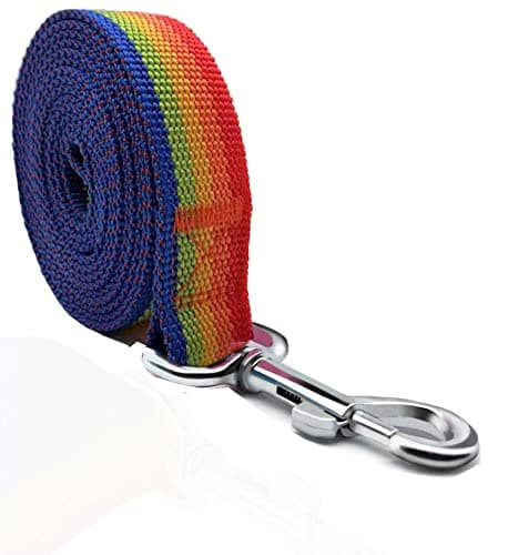 TAIAN 4FT/5FT/6FT Strong Dog Leash, Nylon Dog Leashes for Small Medium Large Dogs (Rainbow, 1 in x 10 ft)