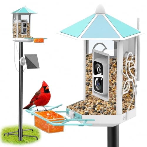 Onlyfly Smart Bird Feeder with Camera Solar Powered and 74.5 Inch Pole