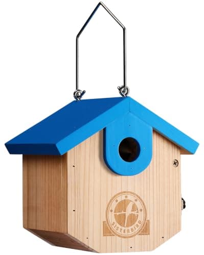 SISTERBIRD Wren Bird Houses for Outside, Bird House Warming Gifts, Blue