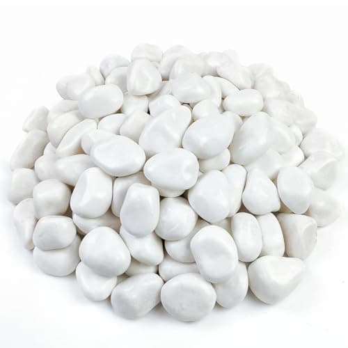 FANTIAN 10 lbs White River Rocks for Plants, Decorative Stones for Vase