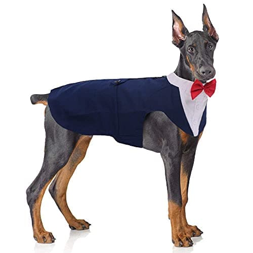 PUMYPOREITY Dog Tuxedo and Bandana Set, Formal Gentleman Dog Attire with Bowtie for Wedding, Christmas, Birthday, 2 Pieces/Pack, 2XL, Blue