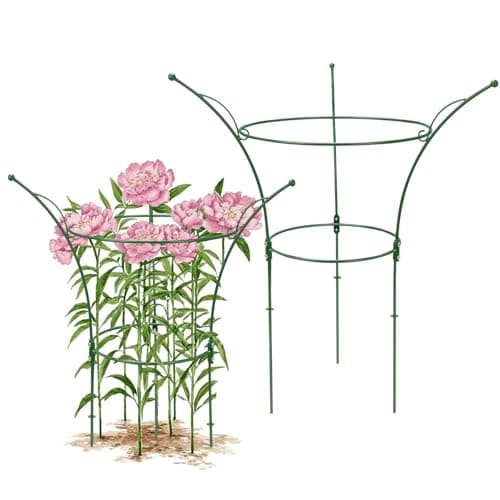 HEYTIMI 2 Pack Peony Cages and Supports Cages 13" D x 22.8" H Sturdy Metal Support Frame for Peonies & Roses Natural Bouquet Shape Garden Stakes for Outdoor Plants Flowers Ornamental (Green)