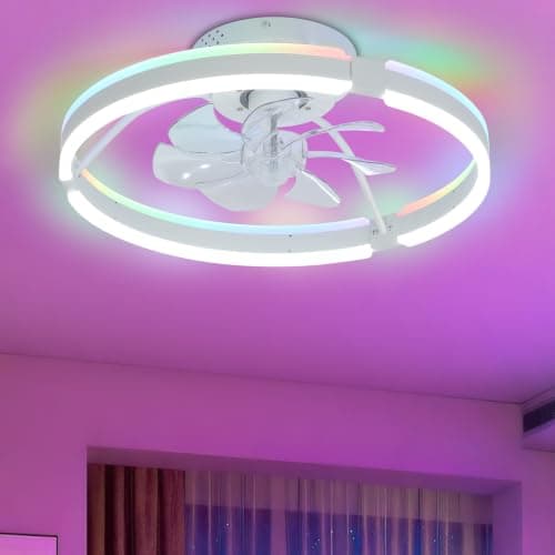 diisunbihuo 20" Flush Mount Ceiling Fan with Lights Enclosed 3CCT LED RGB