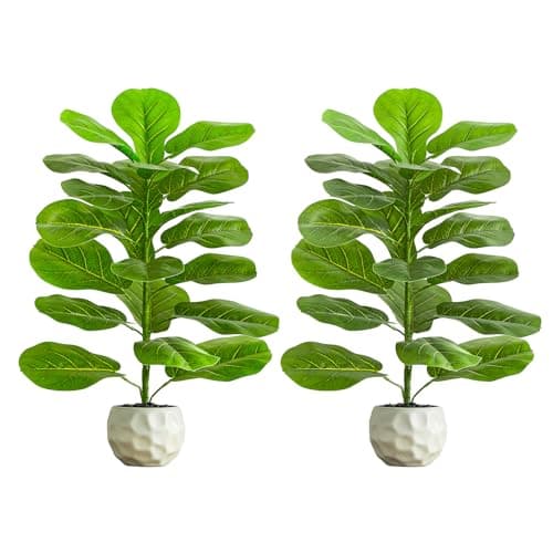 FSOHOI 2 Pack Artificial Fiddle Leaf Fig Tree 2.5FT - Faux Ficus Fake Lyrata Plant in White Pot - Artificial Plants Indoor with Pebble - Greenery Likelife Fig Plants for Home Office Room Porch Decor