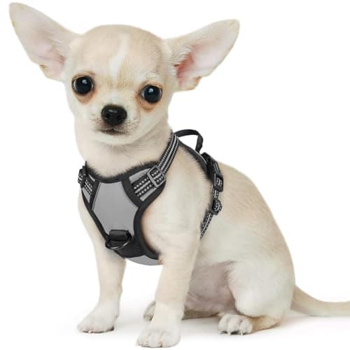 Eagloo Small Dog Harness No Pull, Service Vest with Reflective Strips and Control Handle, Adjustable and Comfortable for Walking, No Choke Pet Harness with 2 Metal Rings, Grey, XS