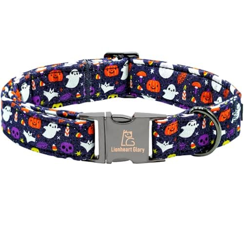 Lionheart Glory Fall Halloween Pumpkin Dog Collar - Heavy Comfortable Adjustable for Large Dogs, Girls, Boys - Cute Pet Gift