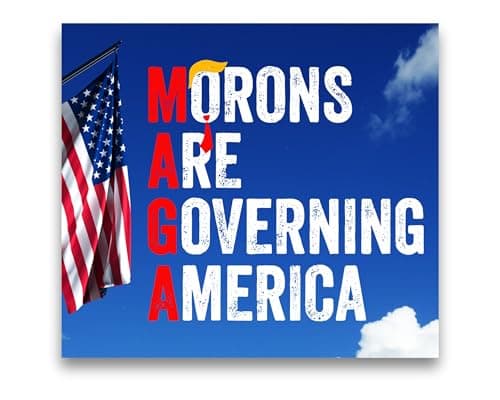Anti Donald Stickers. Morons are Governing America Stickers for Bumper, Car Window, or Laptop. 4.5"x4". Set of 3. Anti-Republican Decals. Proudly Made in The USA