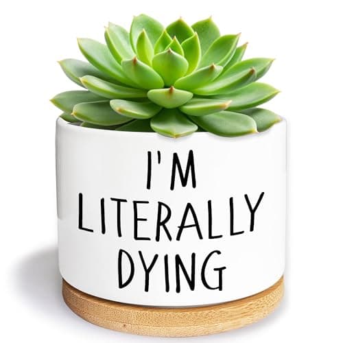 Kwtzkuo I'm Literally Dying - Quotes Funny Succulent Pots, 3.5 inch Ceramic Flower Plant Pots with Drainage Hole, Cute Cactus Planters, Birthday Gifts for Women Friends,Housewarming Gifts