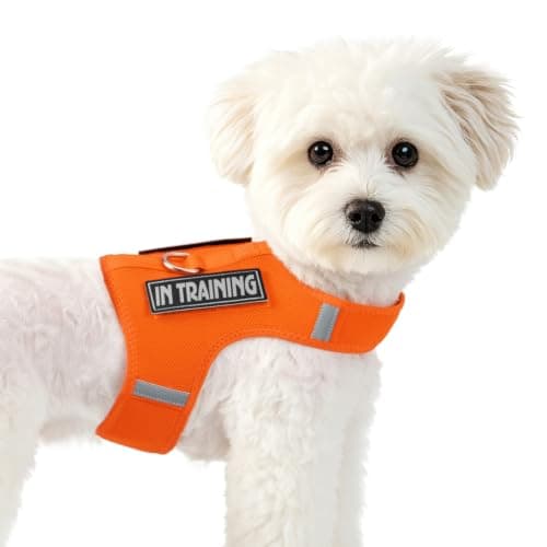 Sunraymascota Cat Harness Dog Puppy Vest with 2 Patches for Small Sized Pet