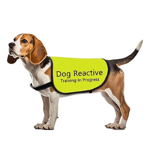 Reactive Dog Jacket Vest Dog Reactive Training in Progress Vest Dog Training Slogan Warning Vest (Dog Reactive Training-Small)