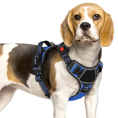 Eagloo Dog Harness No Pull for Small Dogs, Easy On & Off with 3 Buckles