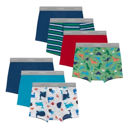 Hanes Toddler Potty Trainer Boxer Briefs for Toddlers, Light Leaks Potty Training Underwear for Boys, Multipacks
