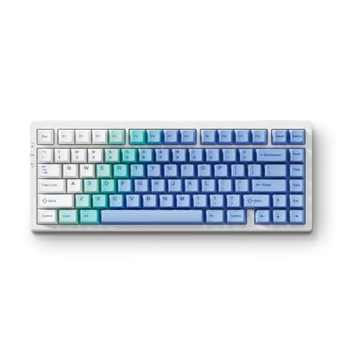 MCHOSE G75 PRO 75% Wireless Mechanical Keyboard, TKL Keyboards Tri-Mode BT5.0/2.4GHz/USB-C, Hot Swap Custom Creamy Keyboards Linear Switch, Double Shot PBT Keycaps RGB LED Backlit, White&Blue